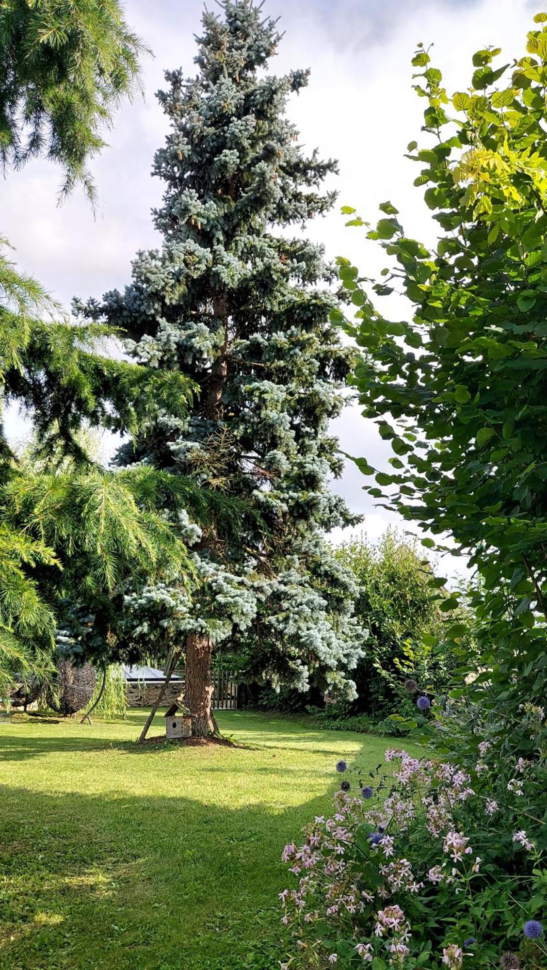 La Bergerie-En-Vexin Bed & Breakfast Jambville Luaran gambar
